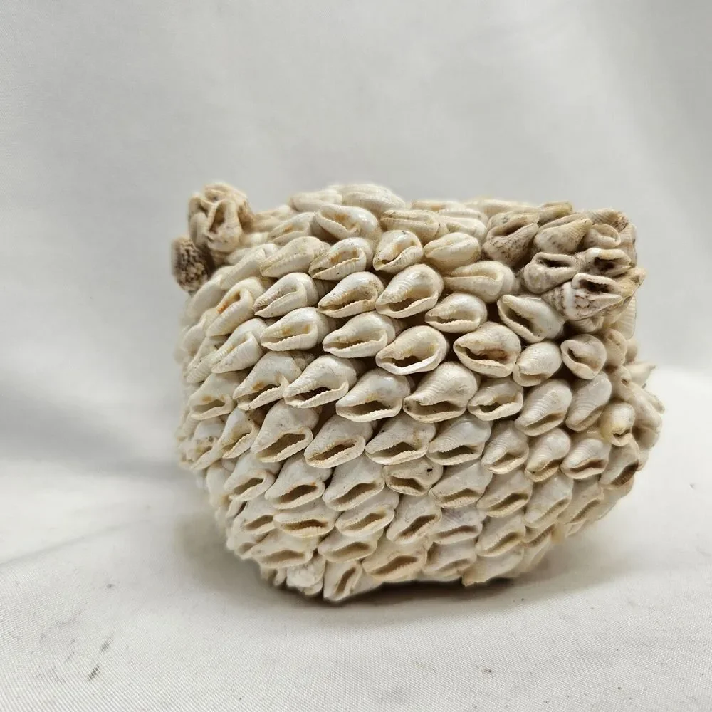Vintage Sea Shell‎ Pig Piggy Bank Coin Bank